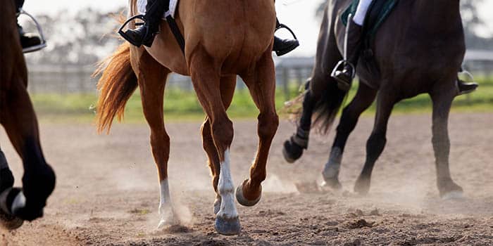 Entain Withdraws Long-Standing Cheltenham Festival Sponsorships Due to Tax Hurdles
