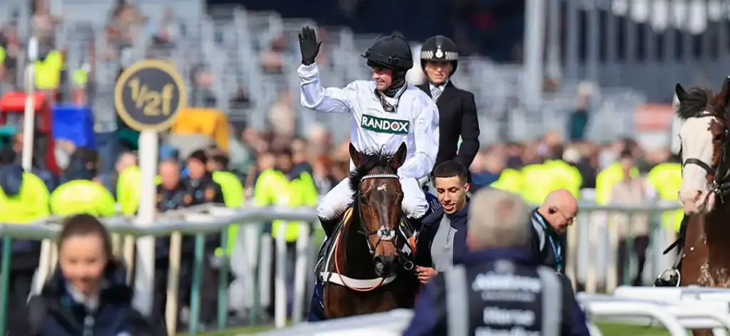 Nico de Boinville winners and horse racing stats