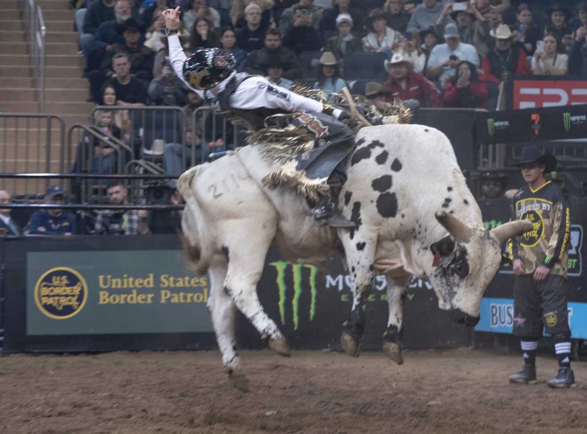 PHOTOS: Professional Bull Riding takes over MSG for three-day sold-out buck-off 2 A Pro Bull Rider