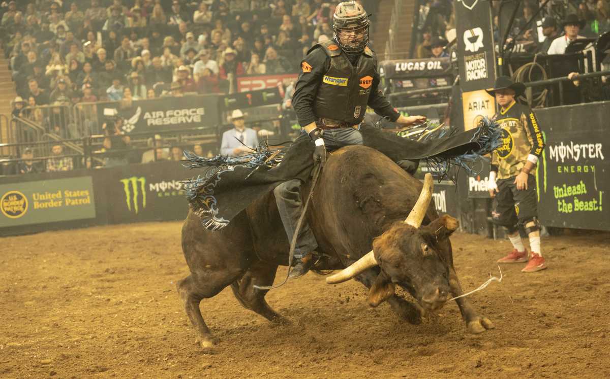 PHOTOS: Professional Bull Riding takes over MSG for three-day sold-out buck-off 4 Pro Bull Rider Cassios Dias rides Real Deal at the Monster Buck Off At The Garden on Sunday, January 10.