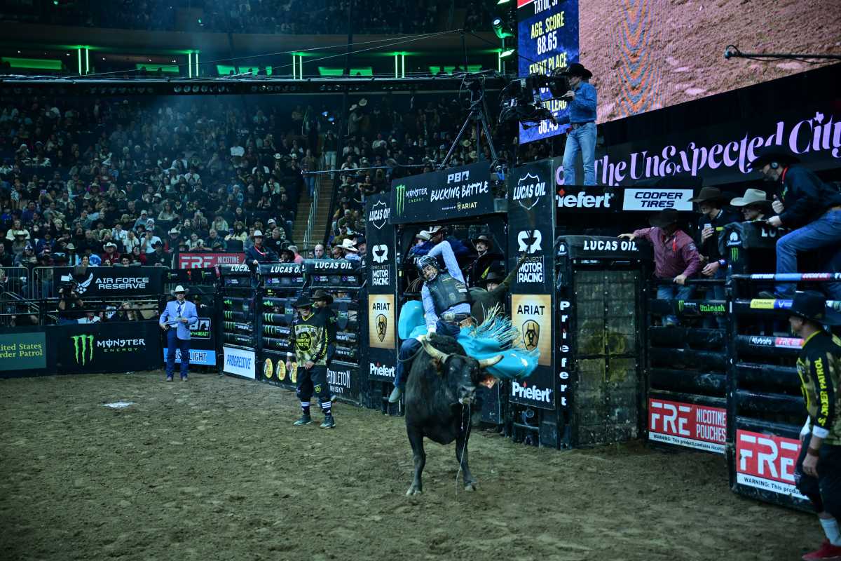 PHOTOS: Professional Bull Riding takes over MSG for three-day sold-out buck-off 8 Julio Cesar Marques rides El Chapo on Jan. 10.