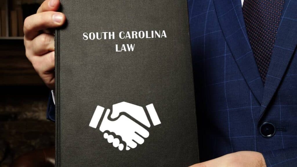 A person holding the Palmetto State's law book, symbolizing the setback in efforts to legalize South Carolina casinos as House Bill 4176 is stalled in the committee.