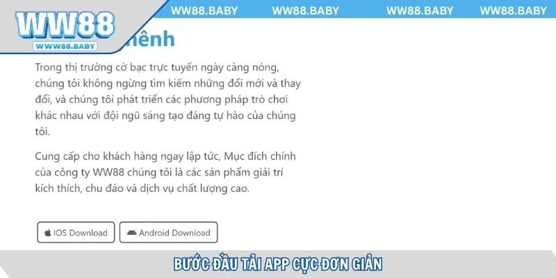 quy-trinh-tai-iwin68-don-gian