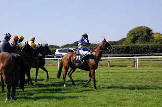 2026 Grand National Ante-Post Tip