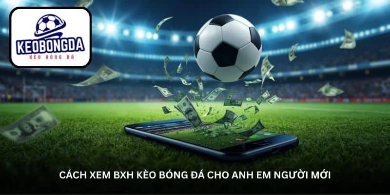 cach-xem-bxh-keo-bong-da-cho-anh-em-nguoi-moi