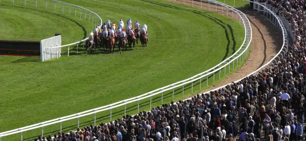 Cheltenham Champion Bumper runners 2026