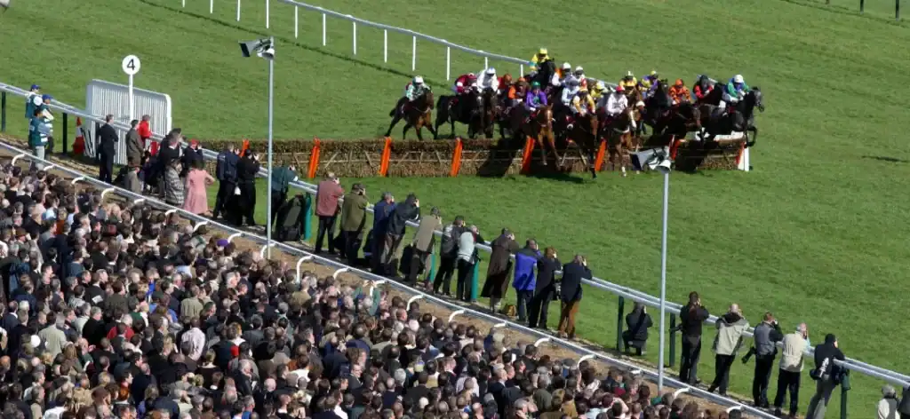Cheltenham Stayers’ Hurdle runners 2026