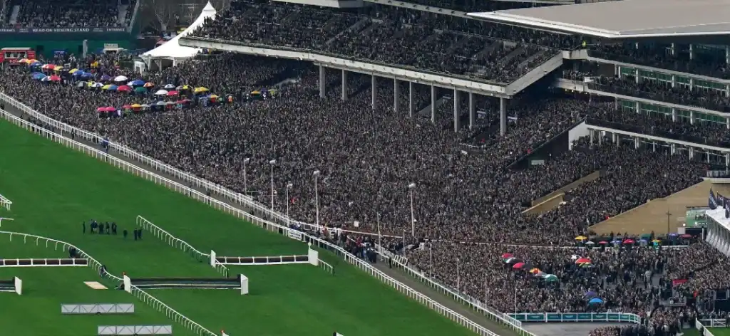 Cheltenham Supreme Novices’ Hurdle runners 2026