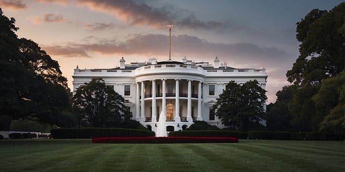 Dana White Gives Major Update on White House UFC Fight