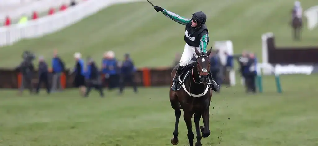 Nico de Boinville’s Cheltenham winners