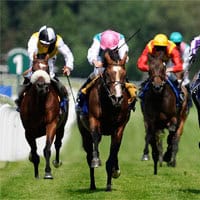 Saturday Racing Tips – Flemington & Randwick – February 14, 2026